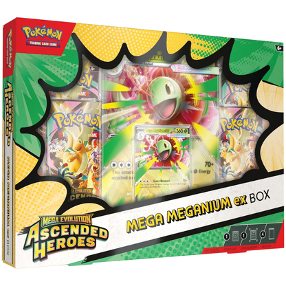 Ascended Heroes : Coffret Mega Meganium / Emboar / Feraligatr ex