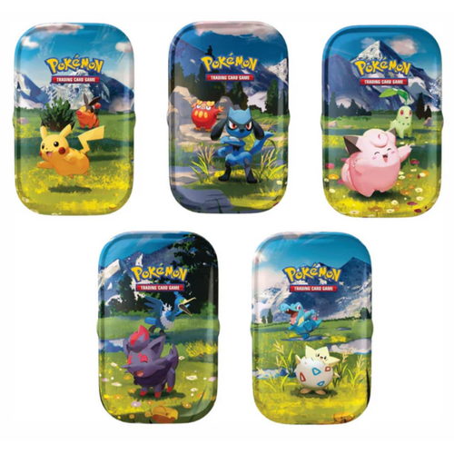 Ascended Heroes Mini-boîtes